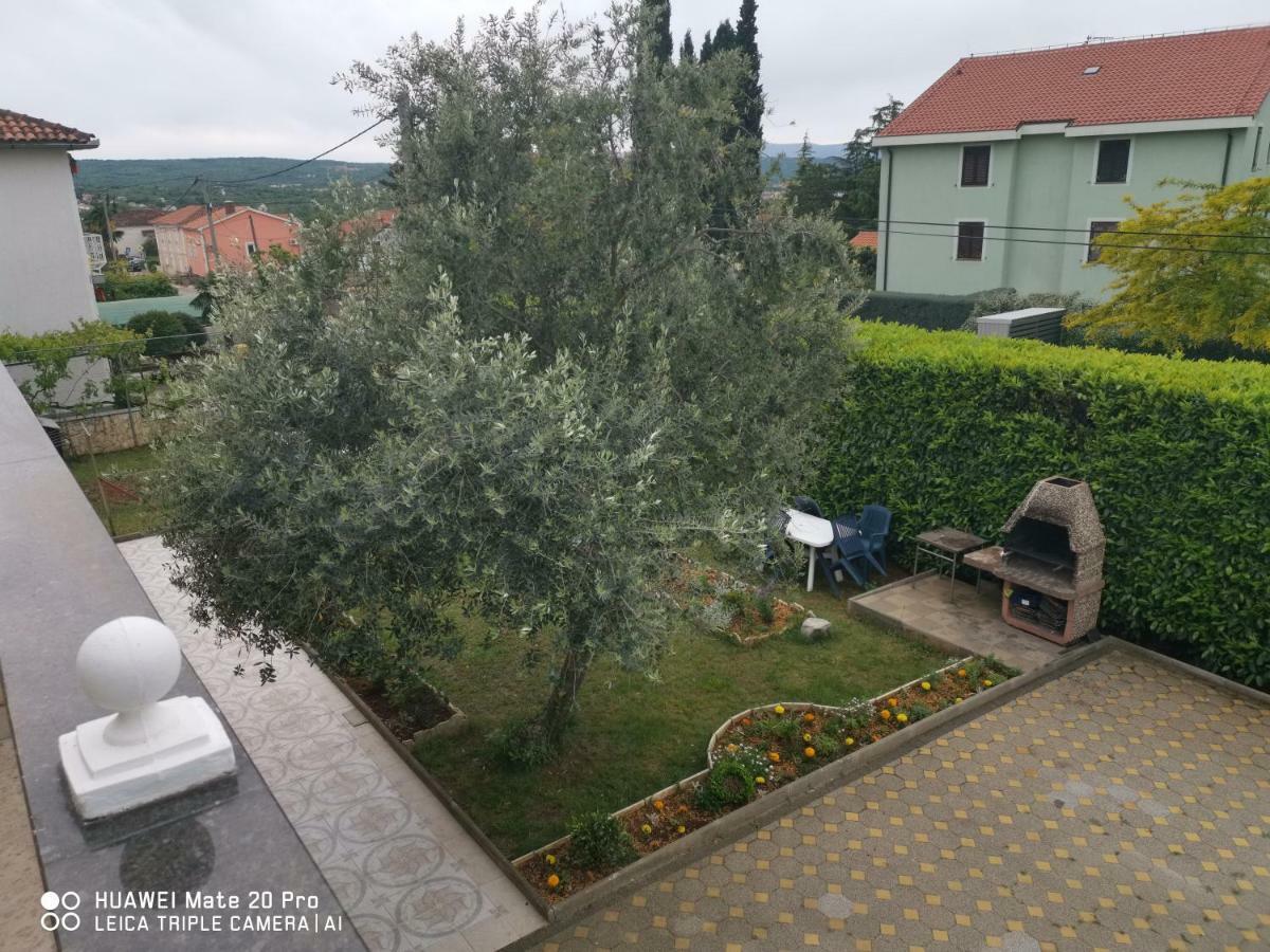 Hostel Marinus Sveti Vid-Miholjice 외부 사진